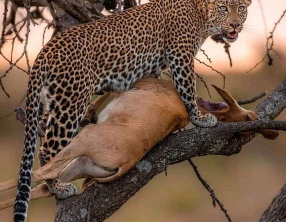 Tanzania Safari Packing List