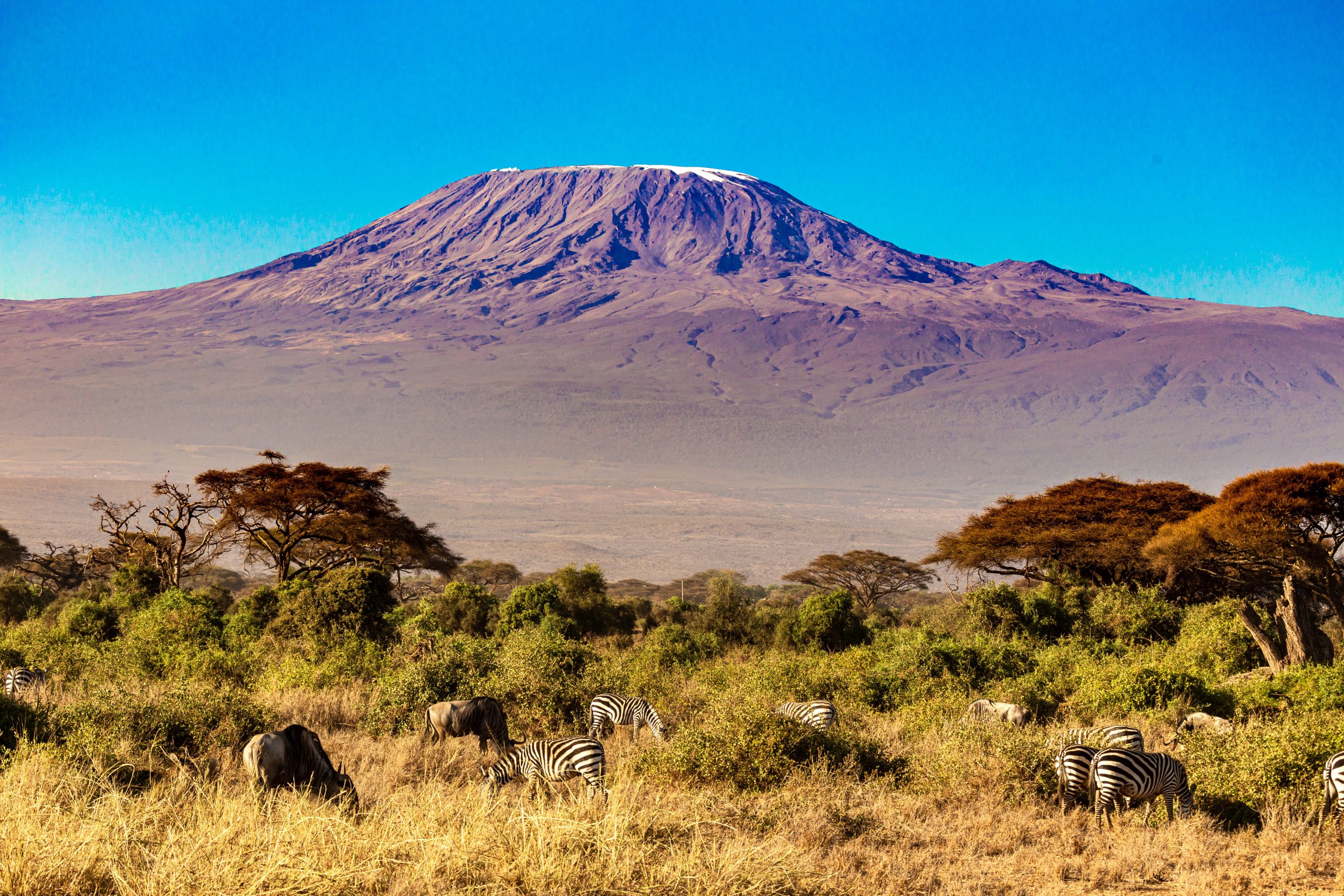 8 Days Machame Route